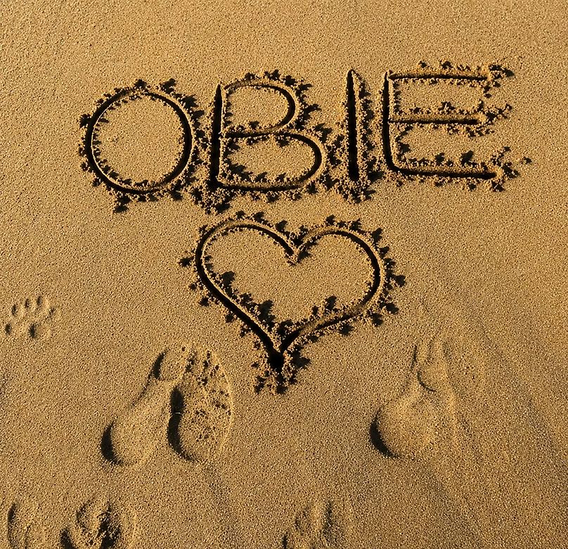 The name OBIE and a heart written in the sand, with footprints and a paw print below